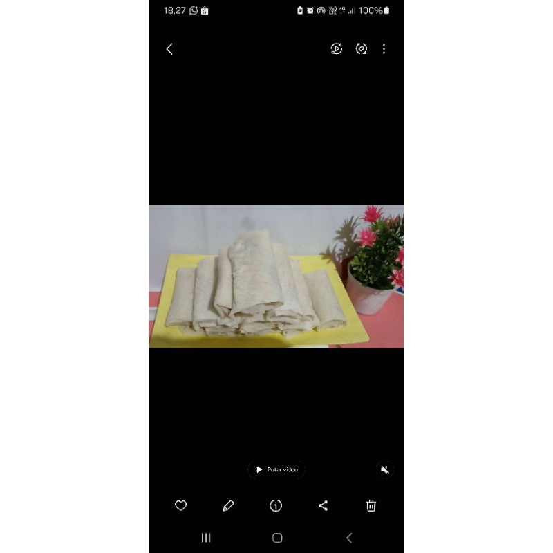 

PISCOK KEJU PARUT 10pcs
