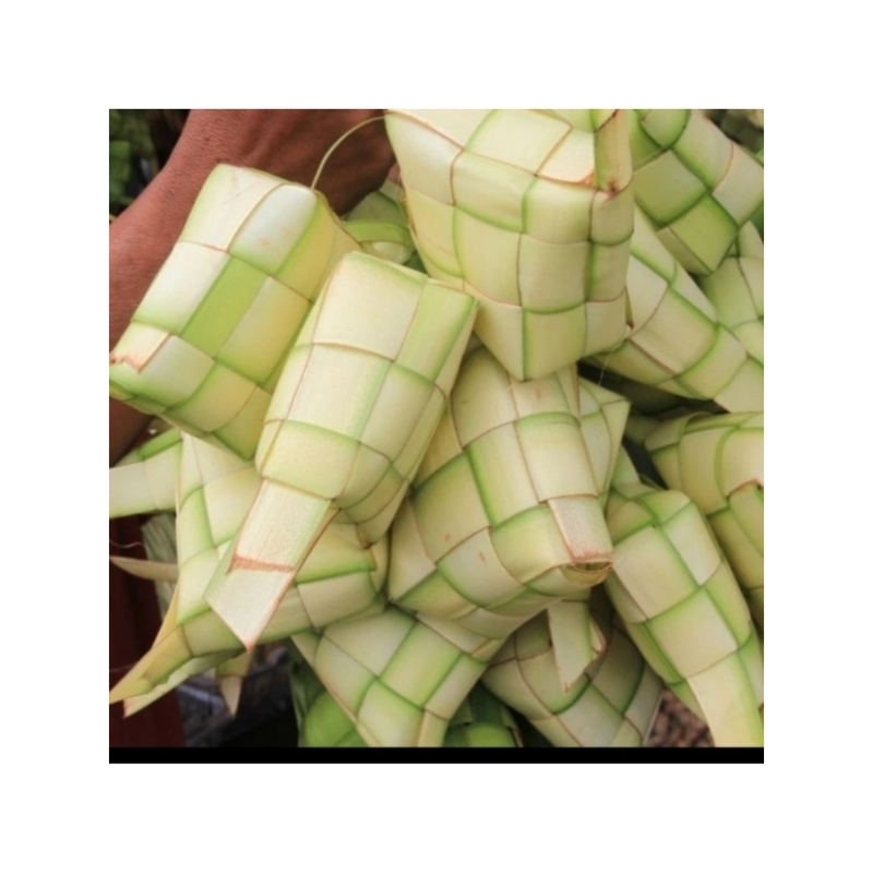

daun kelapa(10lembar)/kulit ketupat/daun ketupat/janur/murah