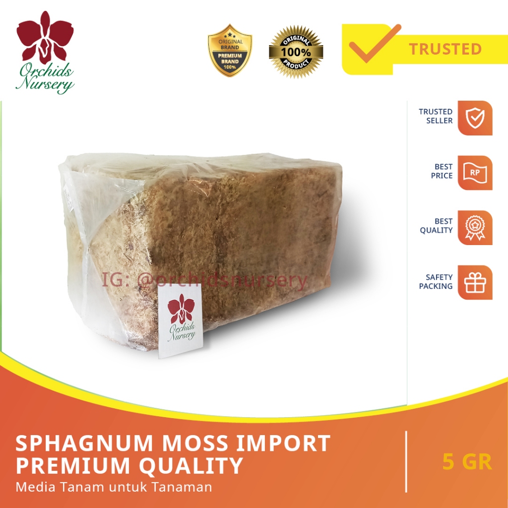 Moss Import Premium Quality / Sphagnum Moss Import / Lumut Kering Media Tanam - 5KG