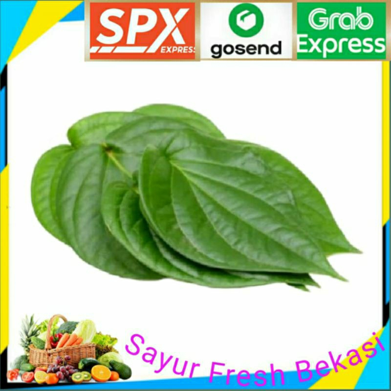 

Daun Sirih ( Per ikat).