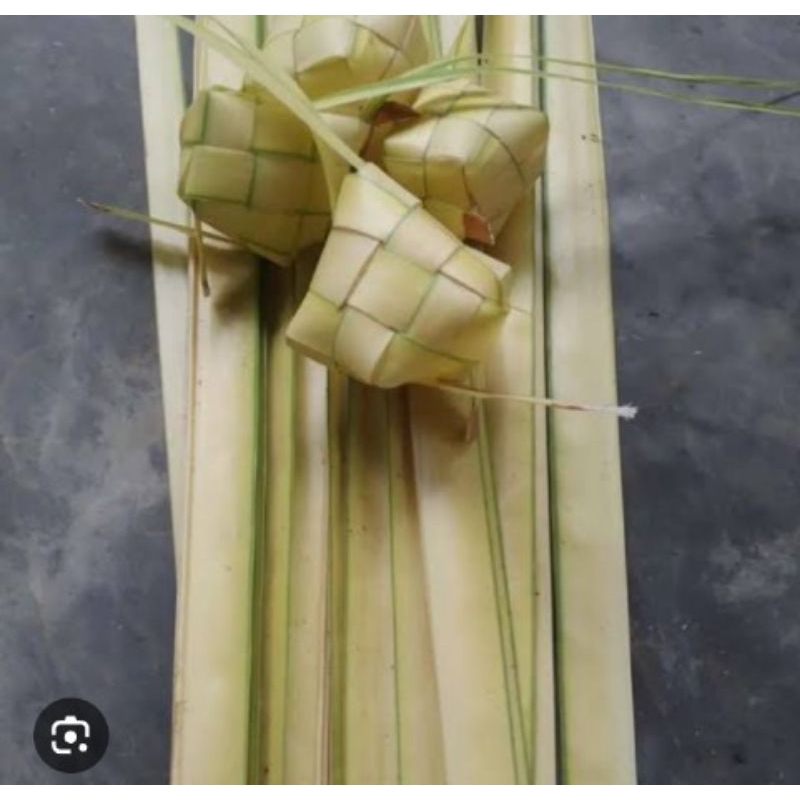 

new produk,PROMO daun kelapa muda/janur kuning per 11 pcs