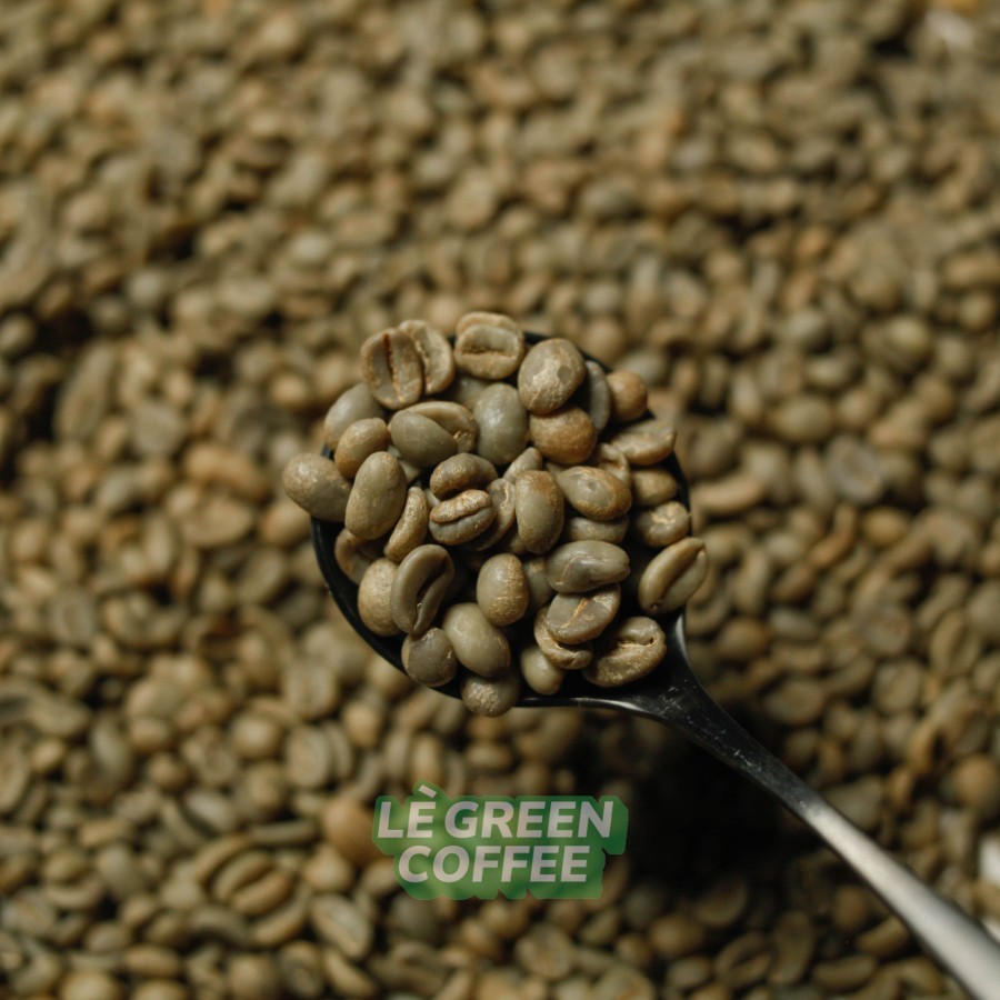 

ARABICA ACEH GAYO FULL WASH
