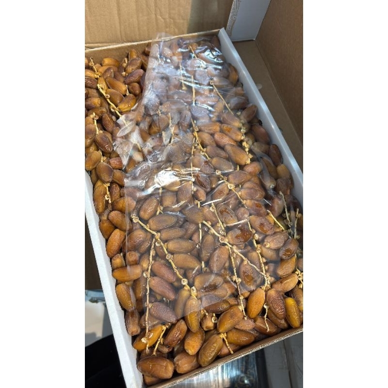 

Palm Tunisia Tangkai berat 5kg