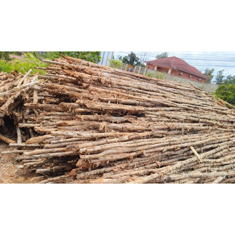 KAYU GELAM UKURAN 8 X 10 PANJANG 4 METER