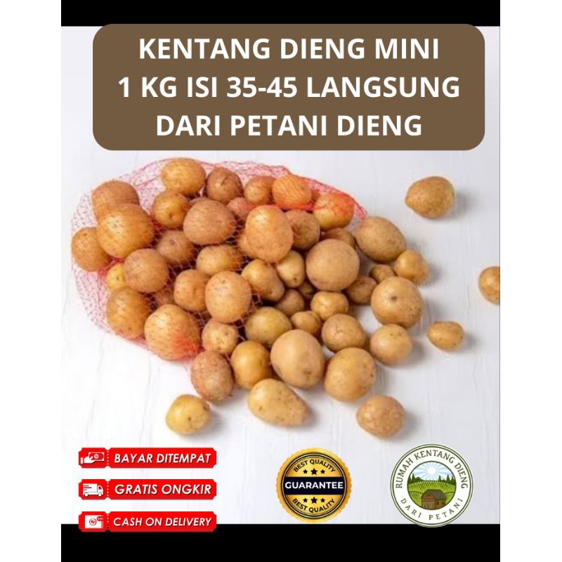 

Baby Potato Dieng 1 kg isi banyak