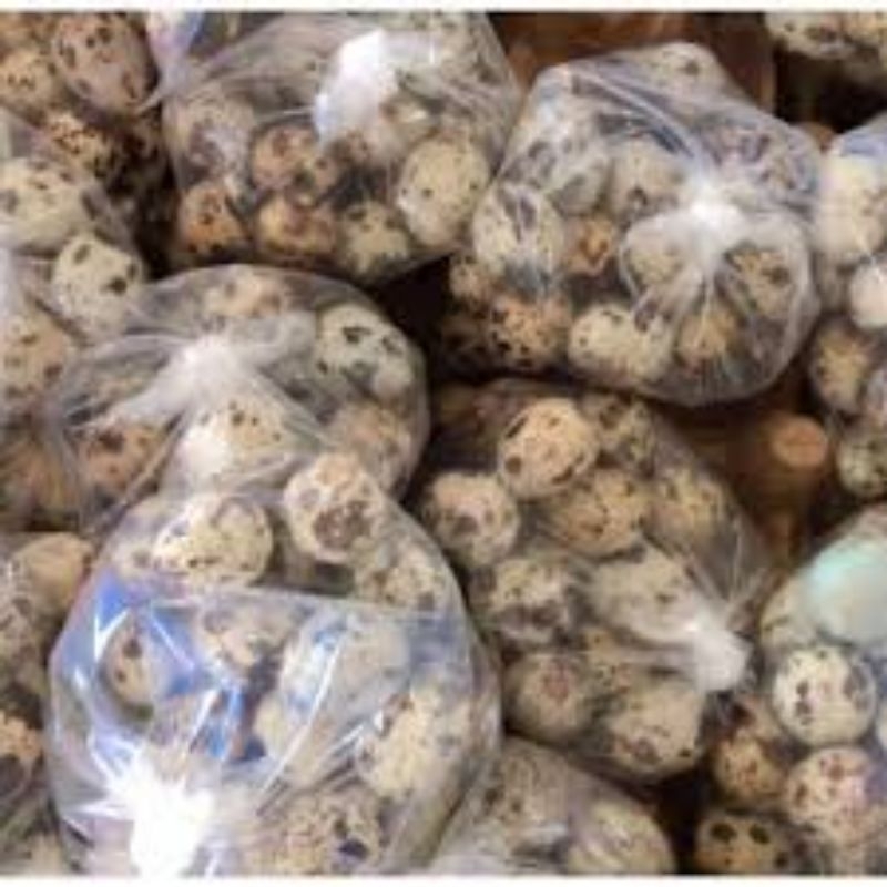 

telur puyuh 1 bungkus isi 20 butir