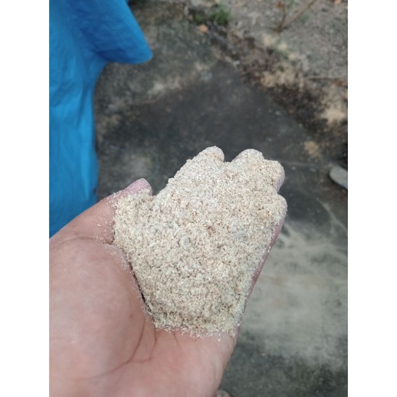 jual katul |bekatul dedak | pakan ternak | pakan bebek | pakan pitik ayam |