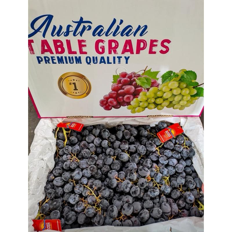 

ANGGUR AUTUMN ADORA CURAH JUMBO AUSSIE AUSTRALIA 9 KG