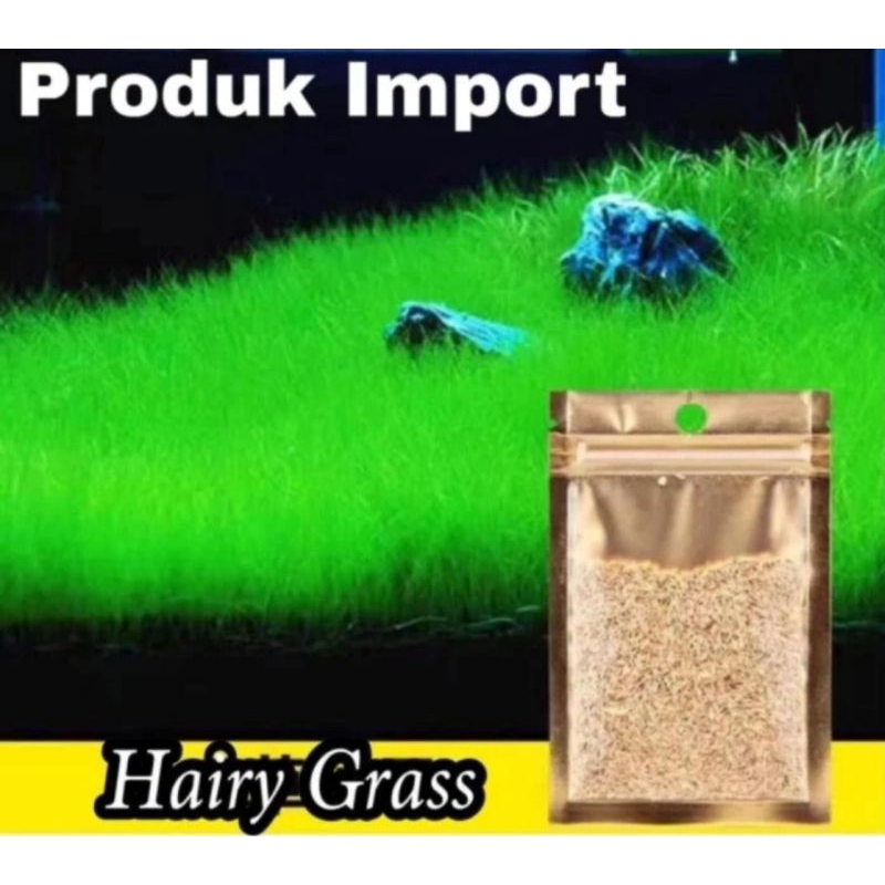 bibit carpet seed aquascape