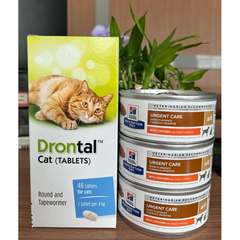 Promo Paket Hemat Drontal Cat 1Box 48 Tablet Free 3Pcs Wet Food a/d