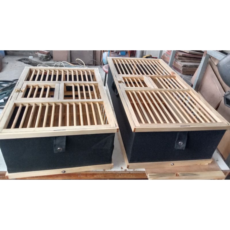 dondang merpati pos sangkar burung