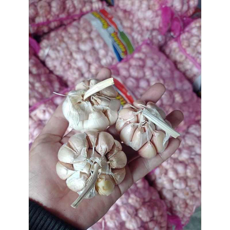 

BAWANG PUTIH FRESH