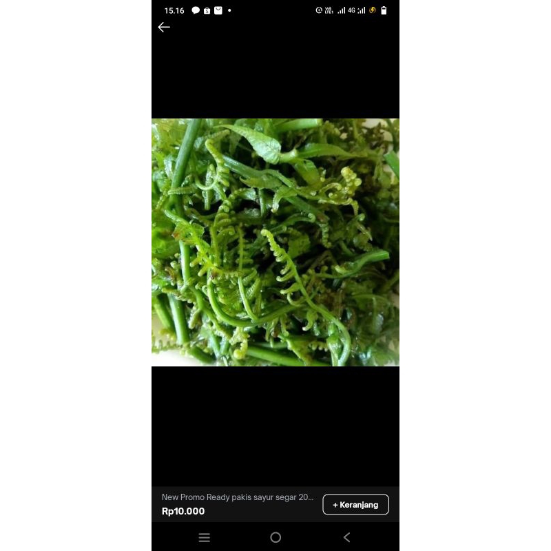 

Promo sayur pakis sayur pakis segar 250 gr