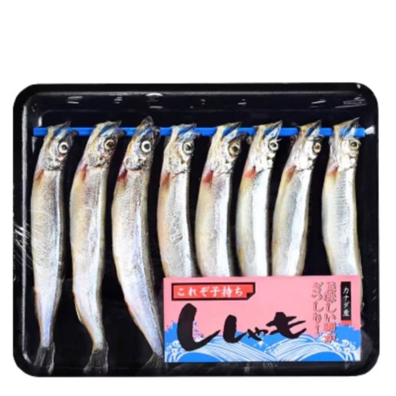 Ikan Shisamo FULL telur frozen