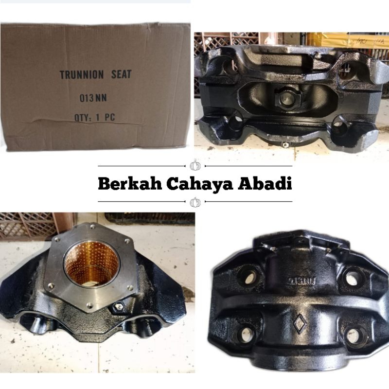 Trunnion Assy Hino 500 S4950-EW013 Nn