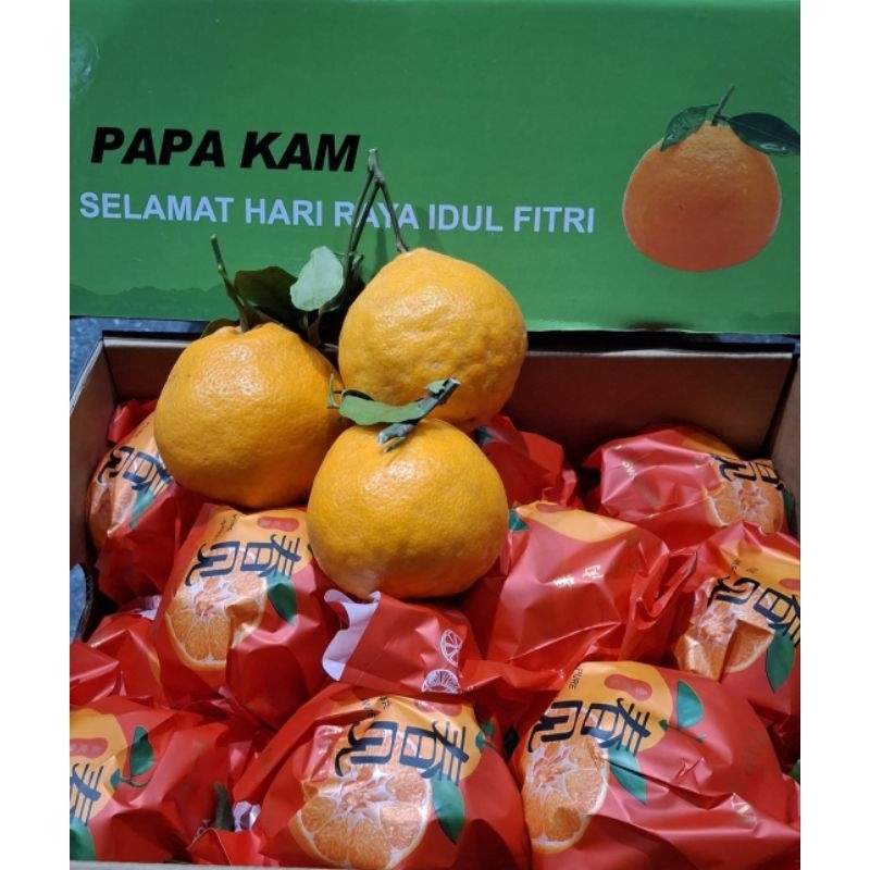 

jeruk dekopon import dijamin segar berat 3 kg