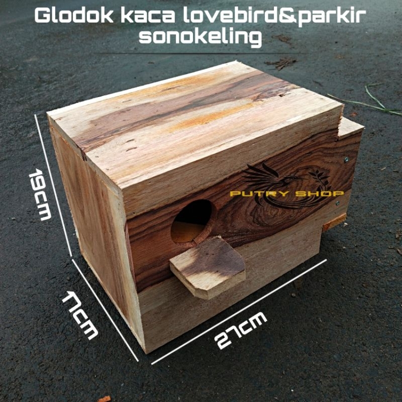 GLODOK LOVEBIRD & PARKIT SONOKELING GLODOK KACA GLODOK PANTAU