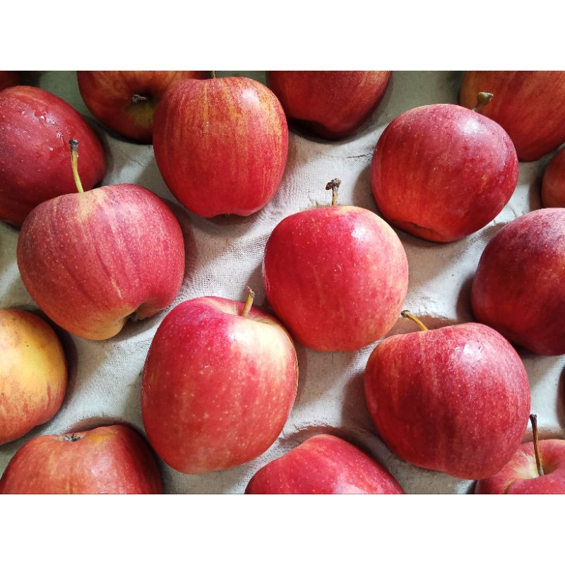 

Apel Royal Gala Fresh Grosir