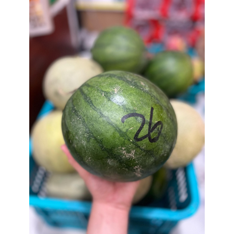 SEMANGKA NON BIJI 1 BUAH - SEGAR