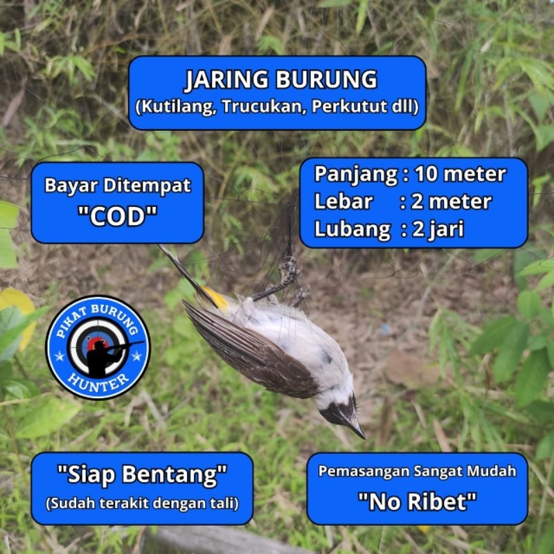 JARING BURUNG TILANG JARING BURUNG KUTILANG JALA PIKAT KUTILANG JALA PUKAT KUTILANG JARING JALA TILA