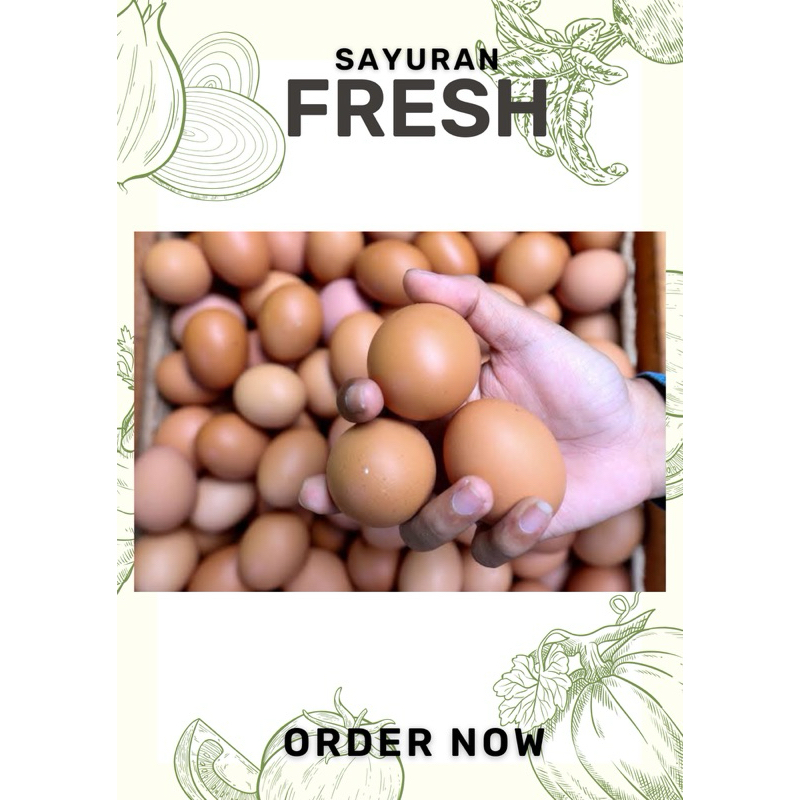 

Telur ayam