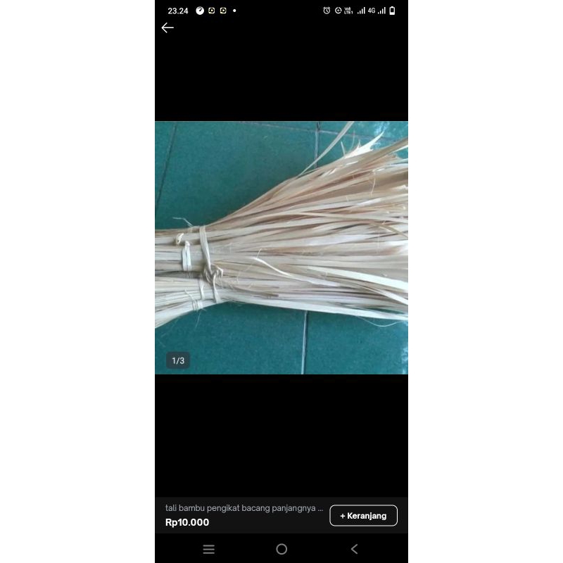 

Tali bambu pengikat bacang panjangnya20-30Cm