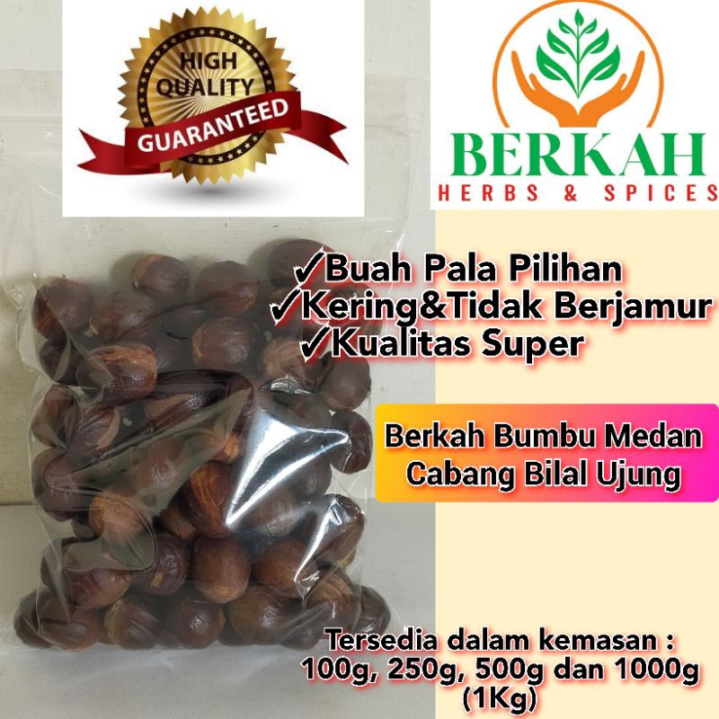 

Buah Pala Cangkang 100g 250g Kualitas Pilihan