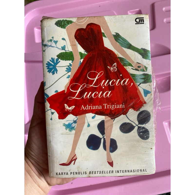 novel Lucia Lucia