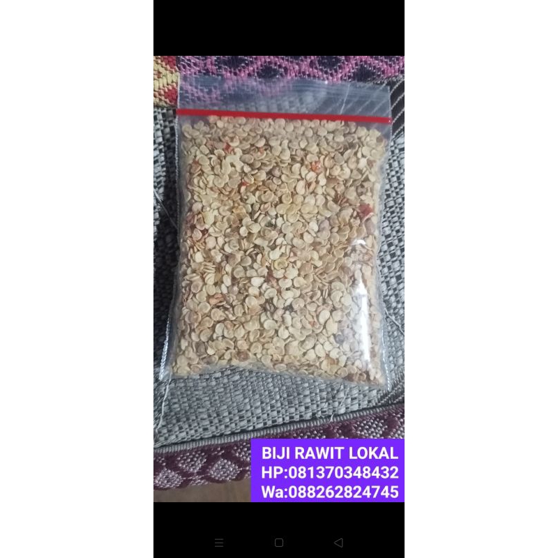 

BIJI ( BENIH ) CABAI RAWIT VARIETAS LOKAL