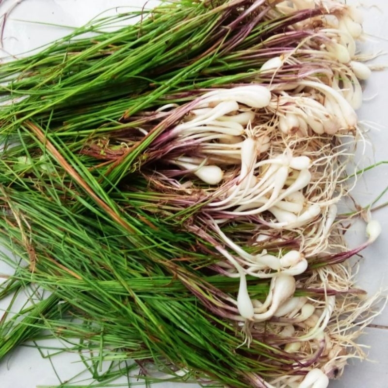 

BAWANG KUCAI SEGAR 500g/ SAYUR KUNCAI LEZAT