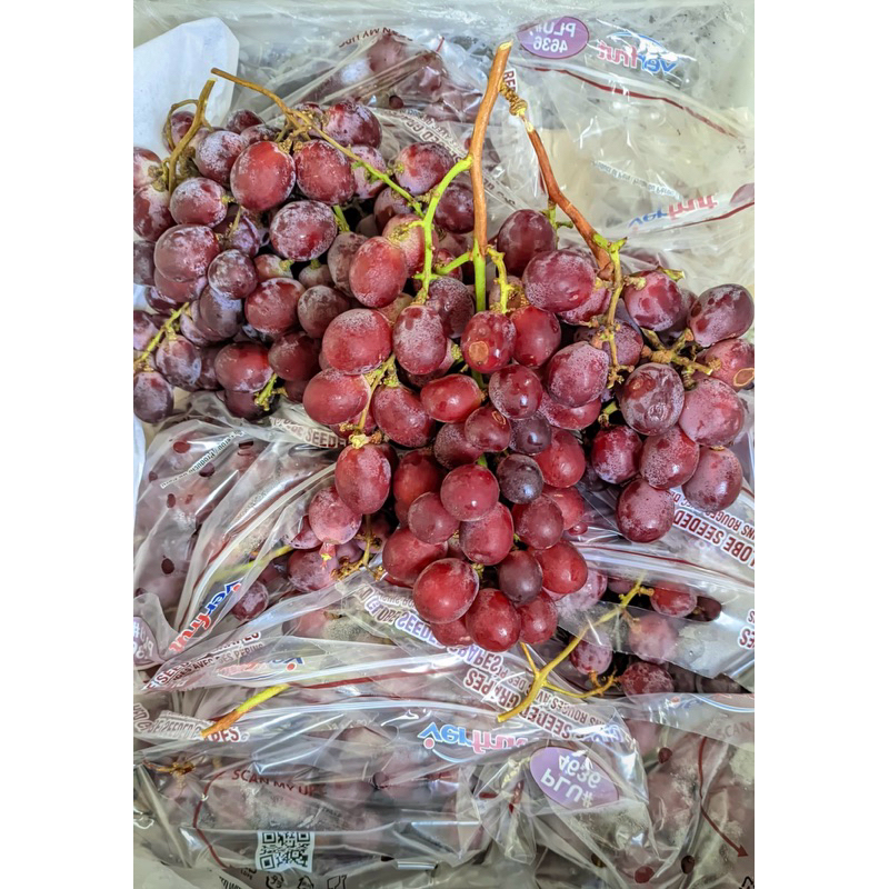 

ANGGUR PERU RRC IMPORT KRAT