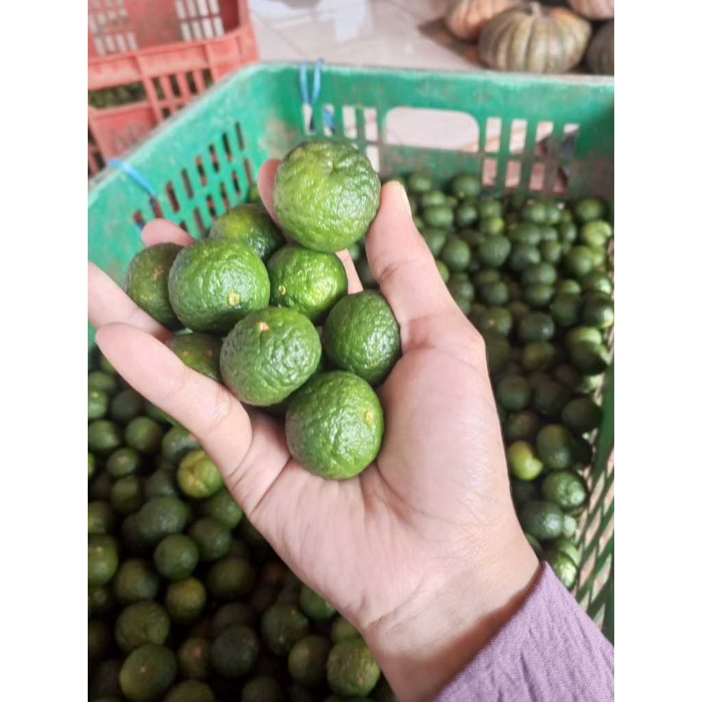 

Jeruk Limau Jeruk Sambal 1kg Fresh Hijau Petik kebun Termurah Green