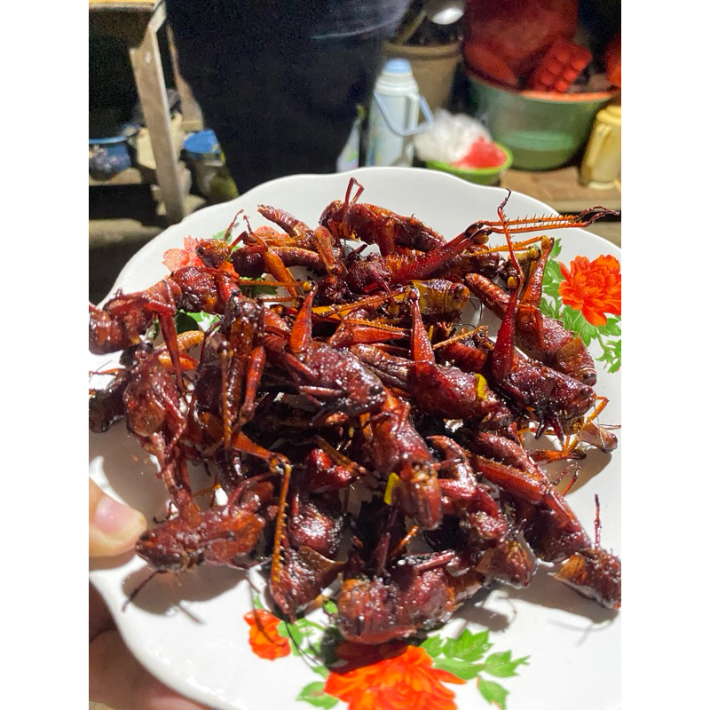 

icip belalang fress digoreng dadakan 10rbuan