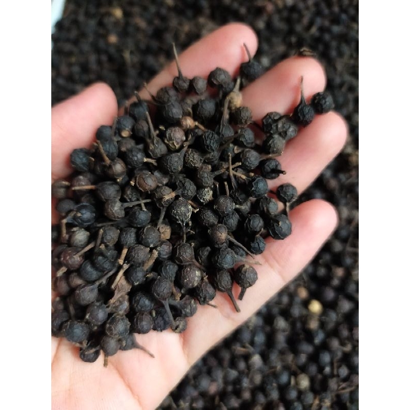 

Kemukus Kering 1 KG Kualitas Premium