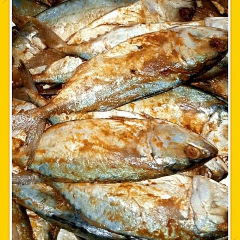 

ikan Asin gembung asin pedak grade A 1 ekor/ ikan gembung asin 1 ekor pontianak