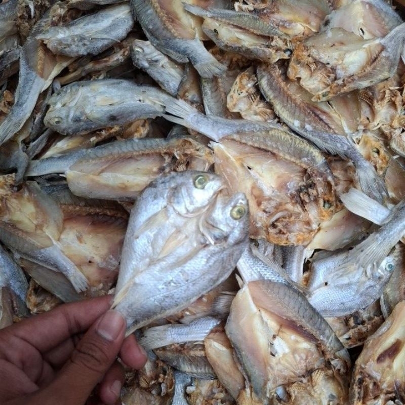 

ikan asin kepala batu/ikan asin glomo