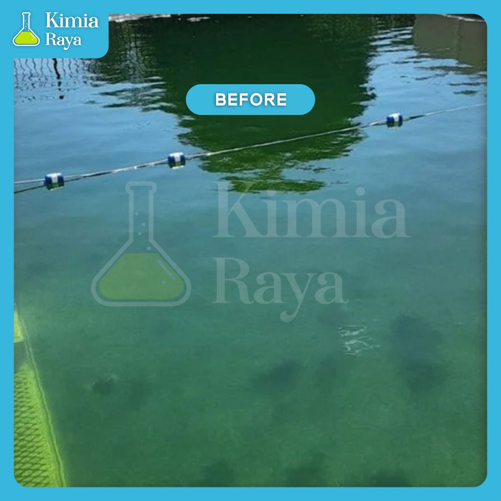 

garam penjernih air