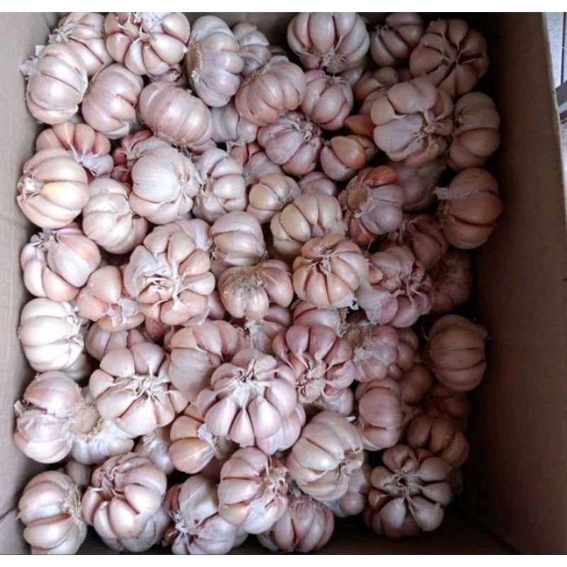

bawang putih/bawang putih murah 1kg