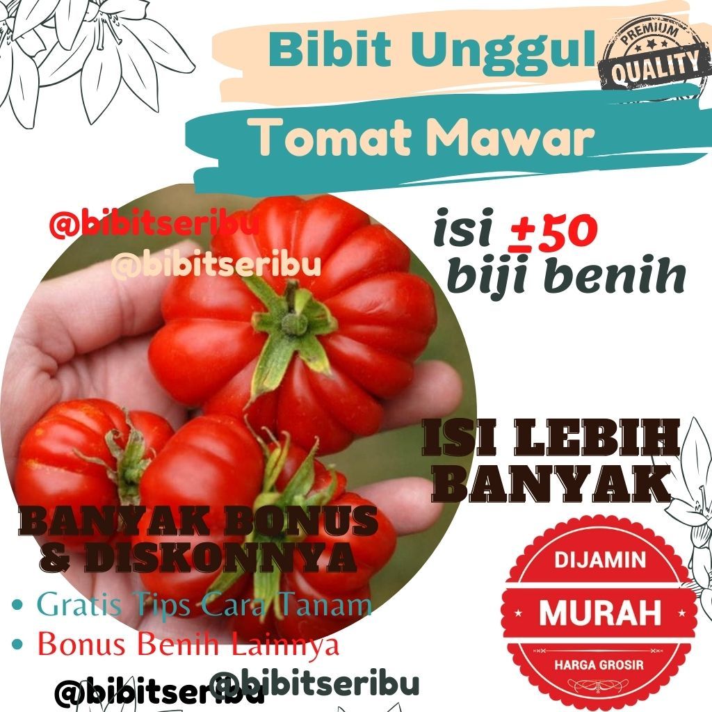 Benih Tomat Mawar Bibit Sayuran dan Buah Siap Tanam Lengkap Bisa untuk Hidroponik