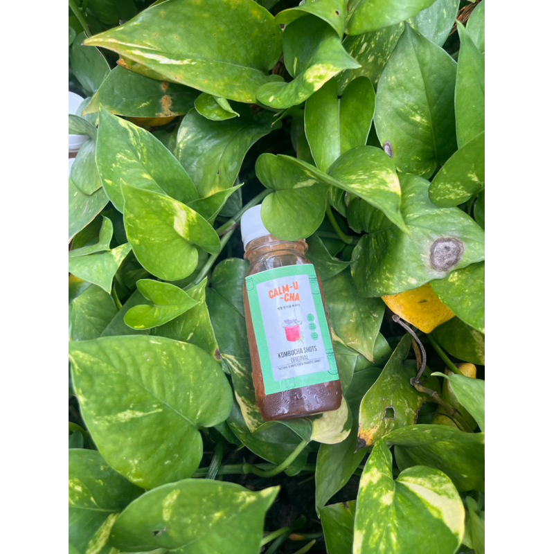 

CalmUCha Kombucha Shot 65ml