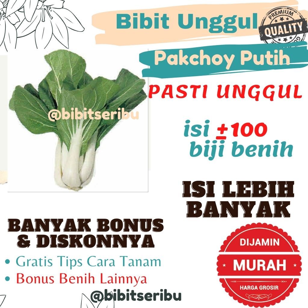 Bibit Pakcoy Putih Benih Sayuran dan Buah Siap Tanam Lengkap Bisa untuk Hidroponik