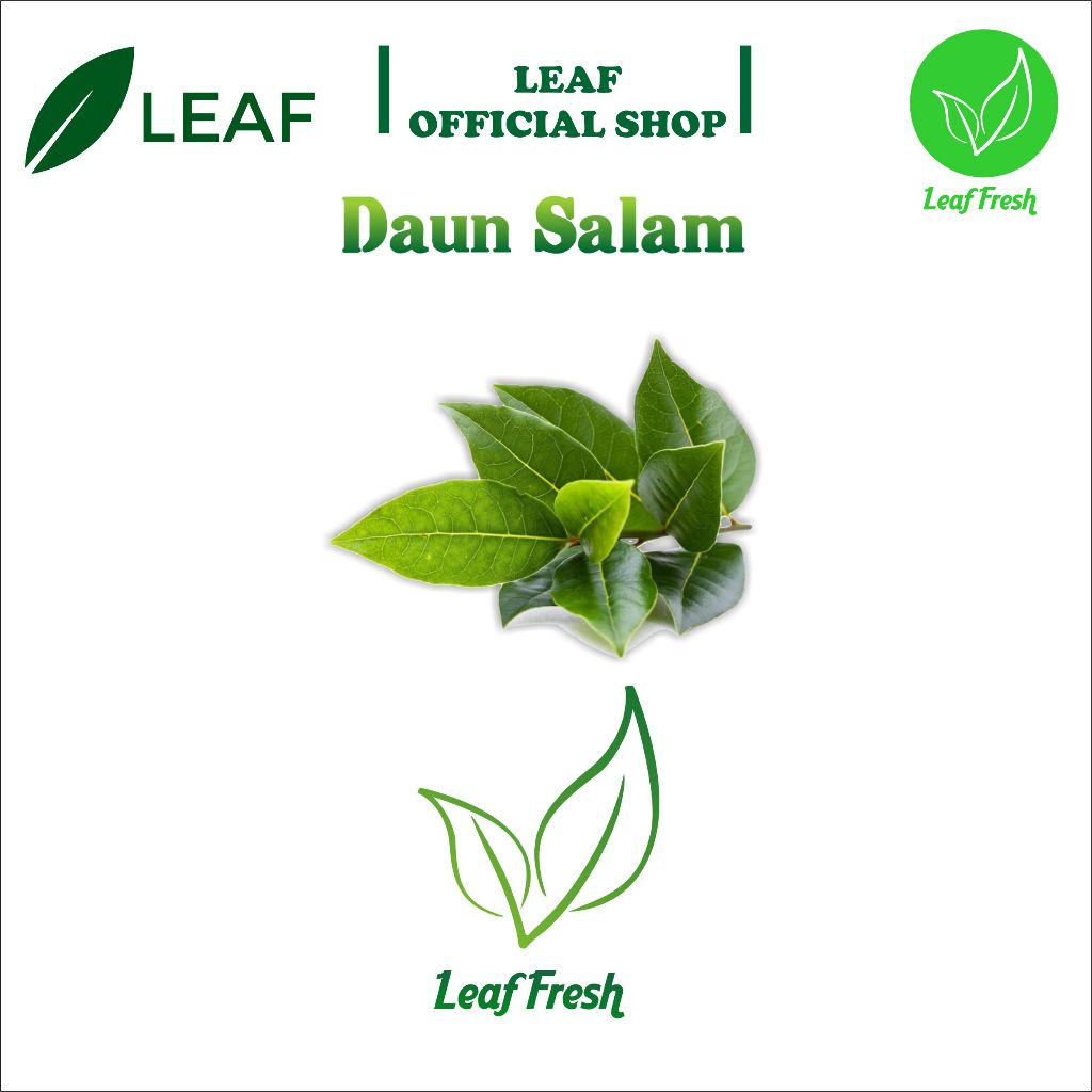 

DAUN SALAM FRESH BY LEAF FRESH