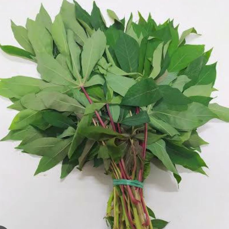 

Daun singkong permas atau singkong keju segar paket 1 kg