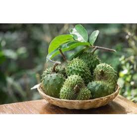 

buah sirsak fresh/1kg