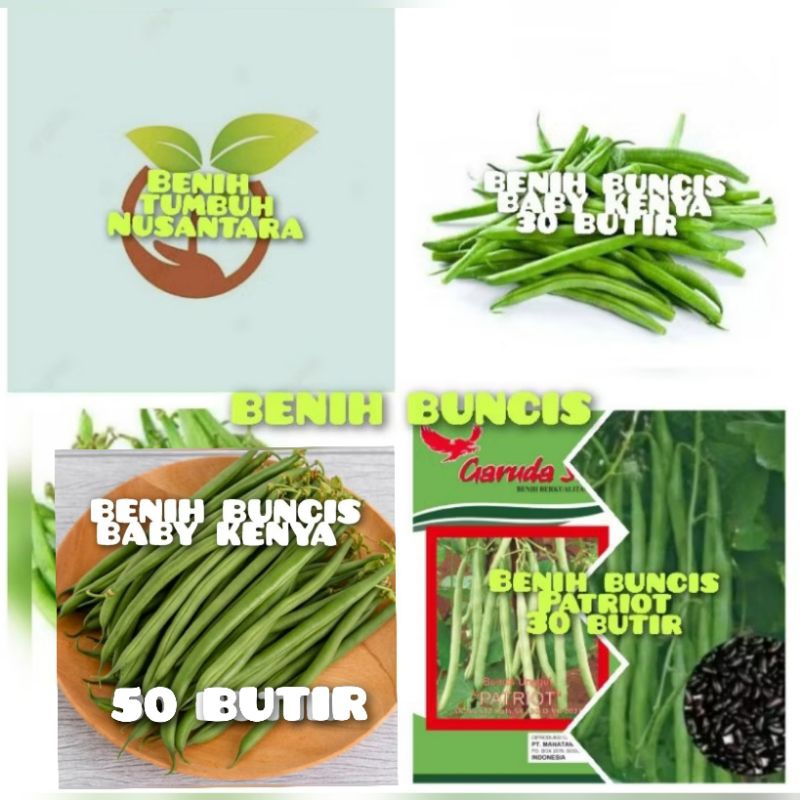 BIJI/BENIH BUNCIS ,BABY KENYA,TEGAK TALA, PATRIOT BIJI HITAM