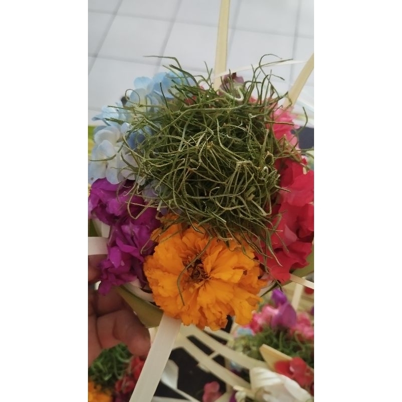 Canang empuk bali jegeg