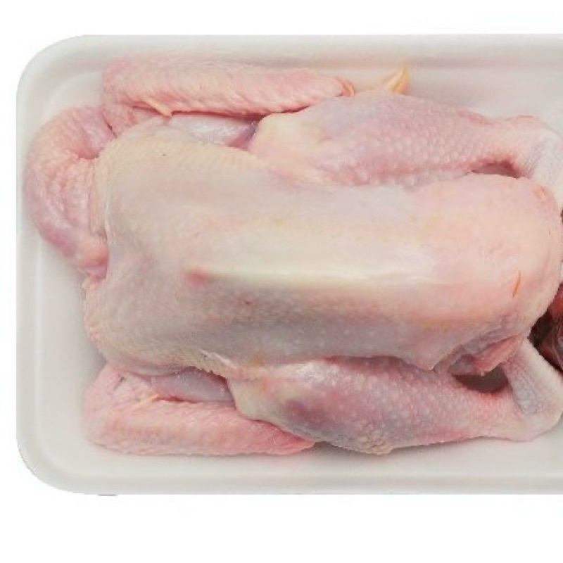 

Ayam kampung / ayam pejantan pcs 1kg