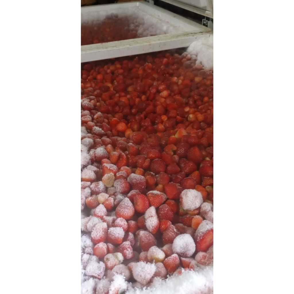 

BUAH STRAWBERRY FROZEN/BEKU 1kg ALL SIZE mulai dari grade A & B & Mix COD BAYAR DI TEMPAT