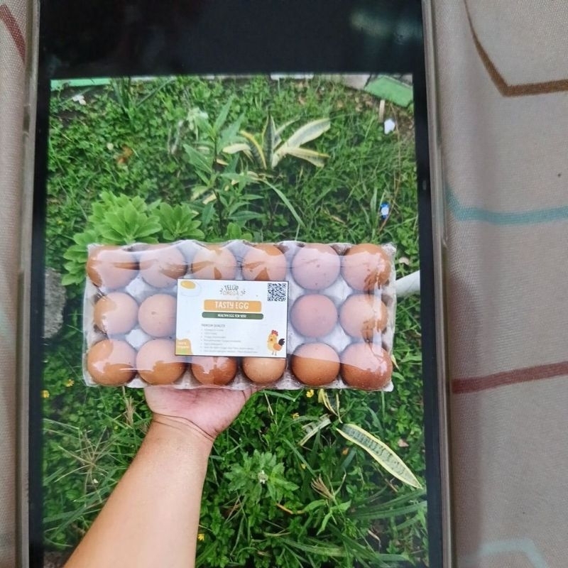 

Telur Omega