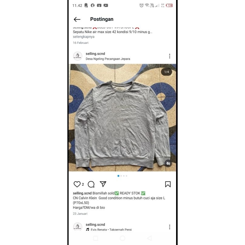 cn calvein jeins & polo